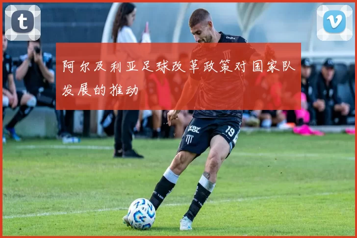 阿尔及利亚足球改革政策对国家队发展的推动