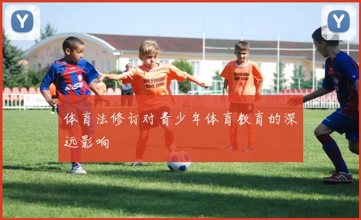 体育法修订对青少年体育教育的深远影响