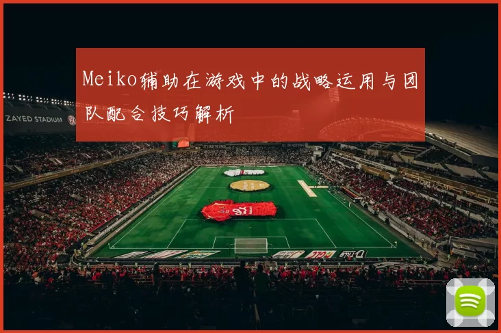 Meiko辅助在游戏中的战略运用与团队配合技巧解析